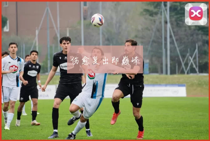 伤愈复出即巅峰