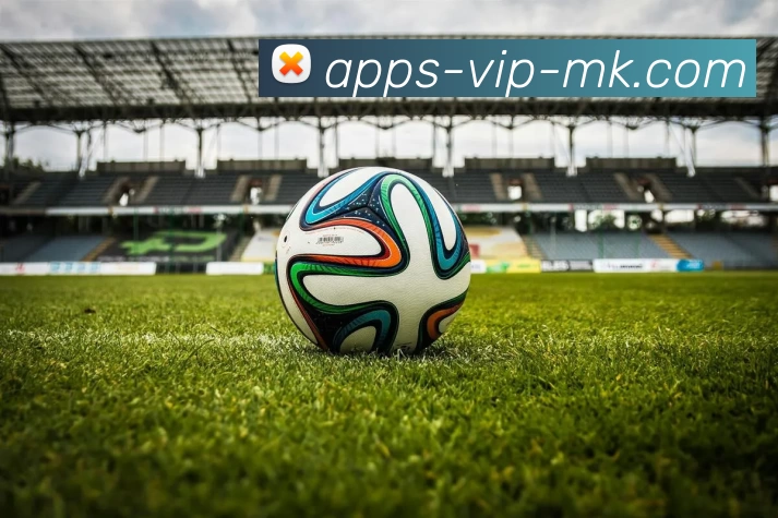 mk体育APP 封面图